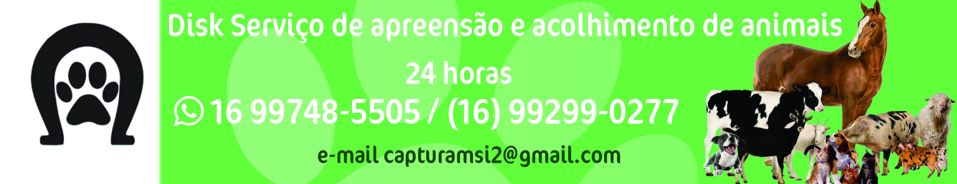 Acolhimento de animais