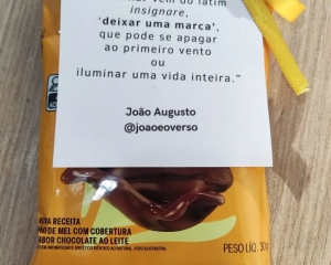 8_(738).jpg
