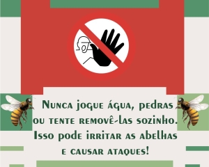 a7_(967).jpg