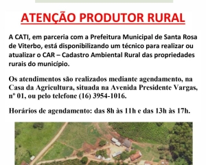 car-redes.jpg