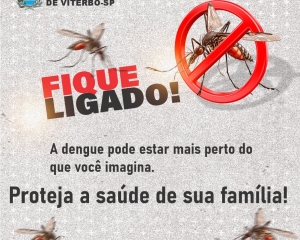 dengue-4.jpg