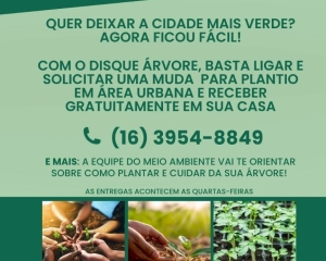 disque-arvore.jpg