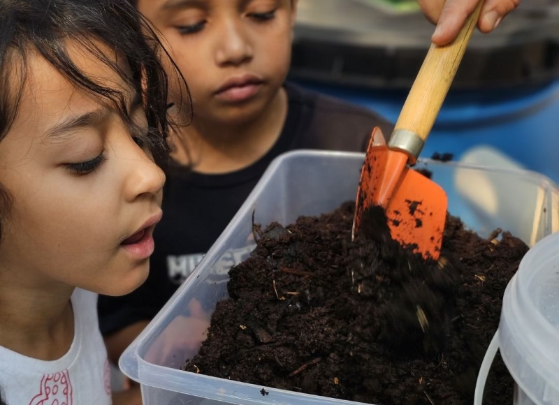 Santa Rosa de Viterbo: A Capital da Educação Ambiental