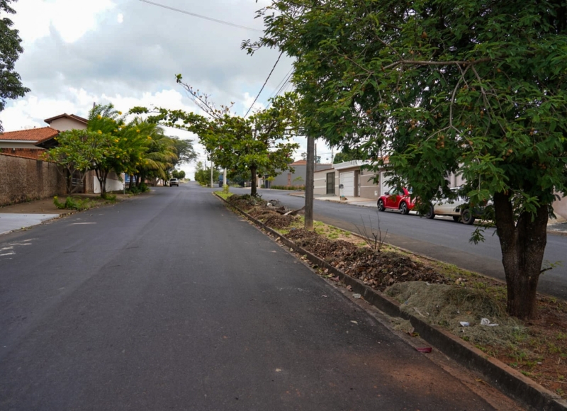 Orientação sobre o descarte de galhadas e restos de podas