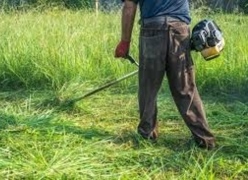 Fiscalização de Posturas notifica proprietários para limpeza de terrenos