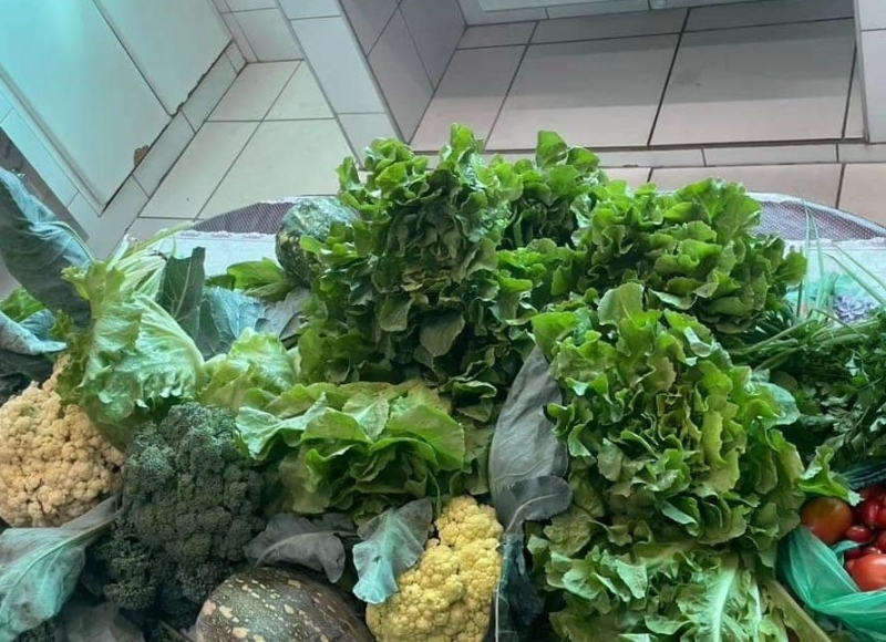 Alimentando com Qualidade e Regenerando o Futuro!