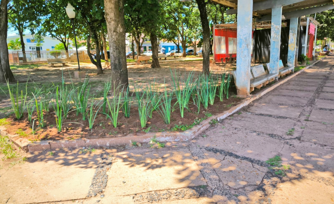  Continuação do plantio de flores na Praça Estrela Azul 