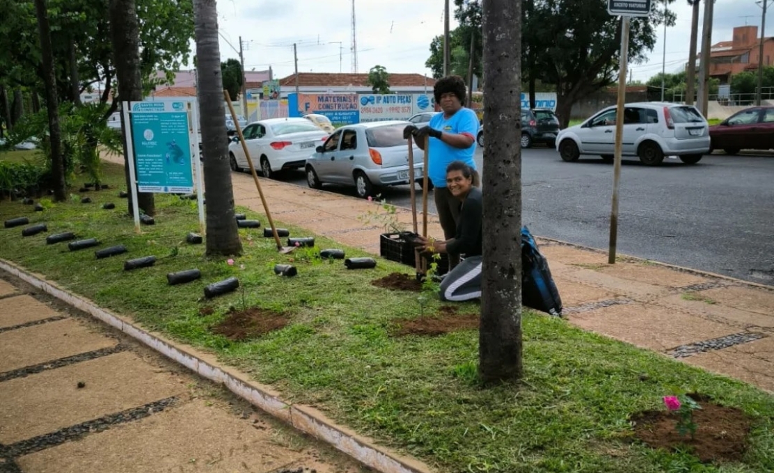 Plantio de roseiras na Praça Estrela Azul