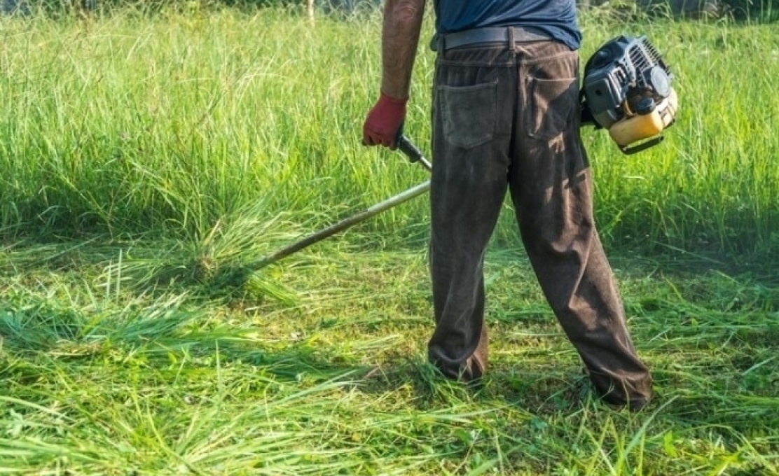  Atenção, proprietários de terrenos!