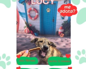 106-lucy.jpg