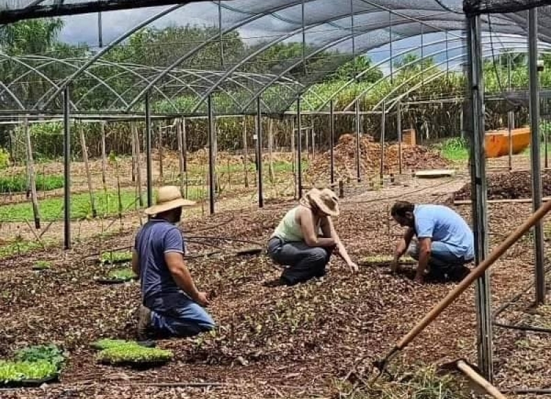 Horta agroecológica de Nhumirim recebe 800 mudas de legumes e verduras