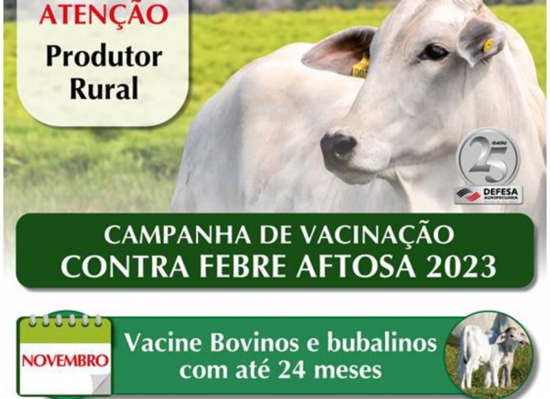 Campanha de Vacinação contra a Febre Aftosa começa  no  dia 01 de Novembro de 2023