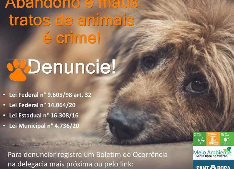 Abandono e Maus Tratos de Animais é Crime