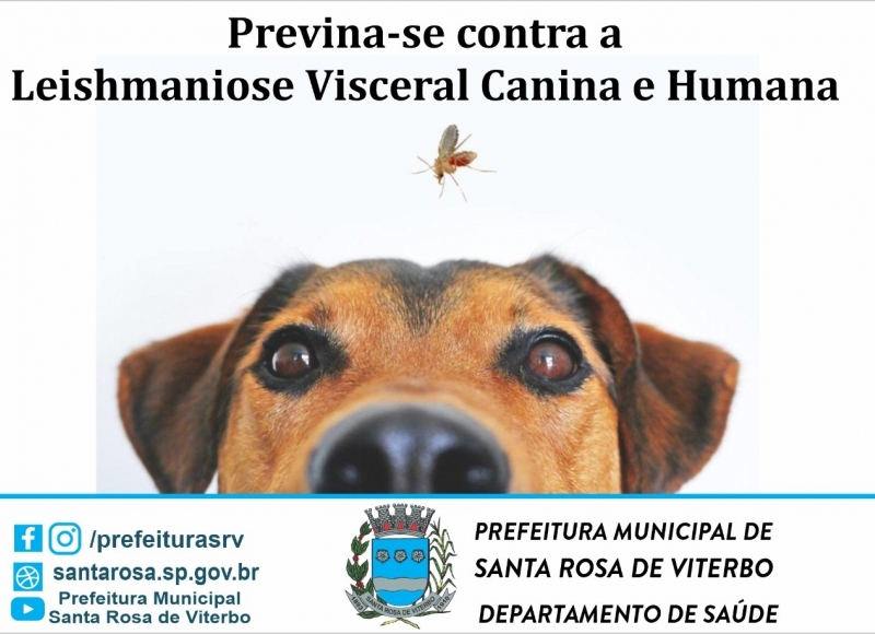 Semana de Prevenção a Leishmaniose Visceral Canina e Humana