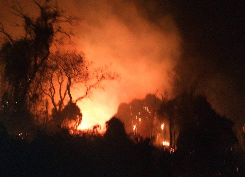  Incêndio de grandes proporções derrubou árvores e interditou a Rodovia Padre Donizetti (SP-332) na madrugada de domingo