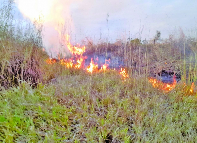 Final de semana teve várias queimadas em   Santa Rosa