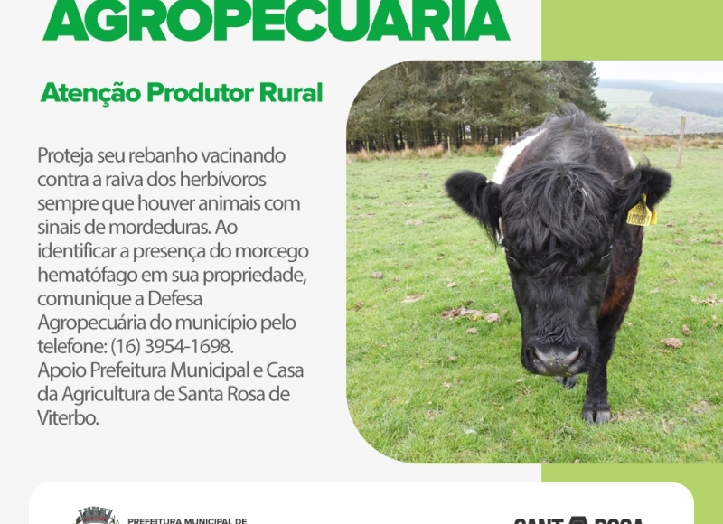 Atenção Produtor Rural: Proteja seu rebanho vacinando contra a raiva dos herbívoros