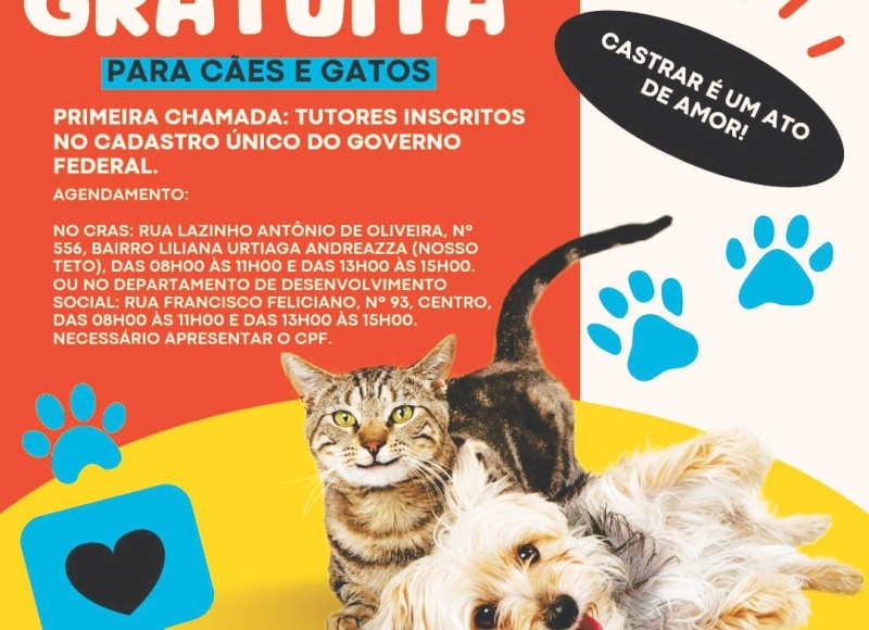 Castração Gratuita em cães e gatos: Nova chamada para Tutores inscritos no CadÚnico do Governo Federal