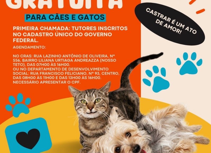 Parceria entre a Prefeitura Municipal e a ABA proporciona Castração Gratuita em cães e gatos