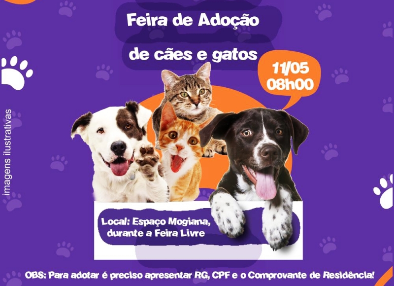 Serviço Veterinário Municipal promove Feira de Adoção de cães e gatos neste sábado, no Espaço Mogiana