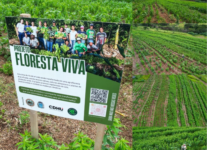 Mais que Mudas: Cultivando a Biodiversidade do Brasil!