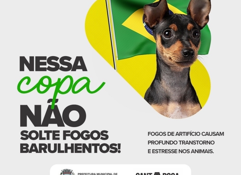 Torça com consciência e não solte fogos: Os pets agradecem!