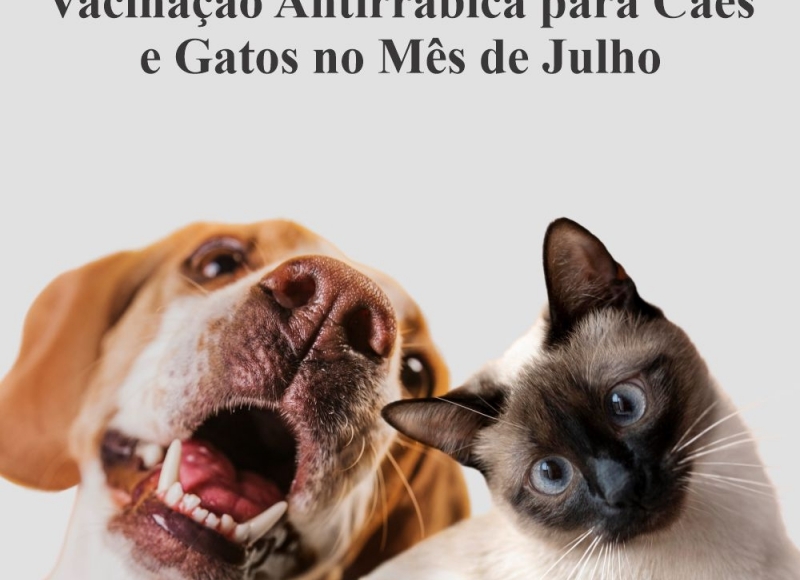 Vacinação Antirrábica para Cães e Gatos no Mês de Julho