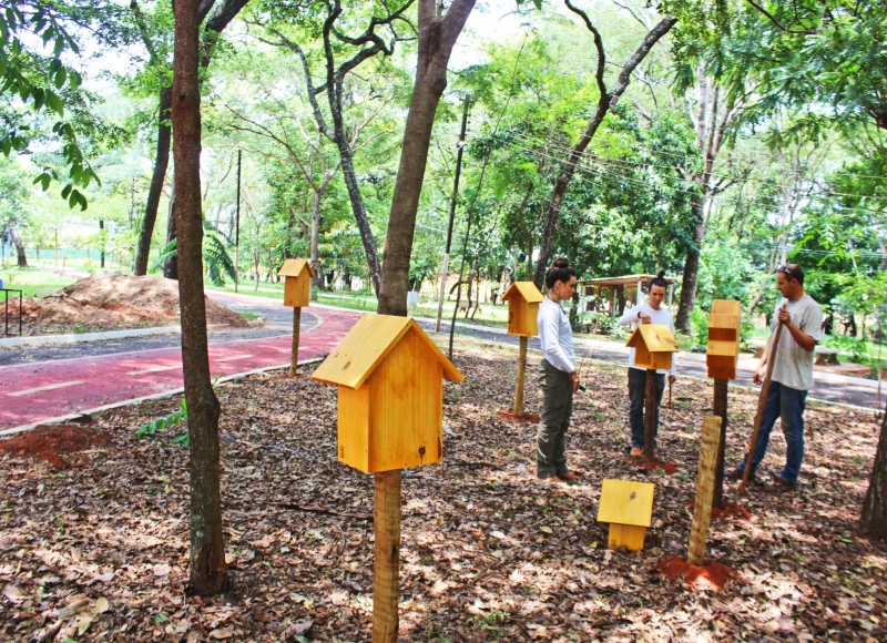 Bosque Municipal e Escola de Nhumirim recebem Meliponário para cultivo de Abelhas Nativas sem ferrão