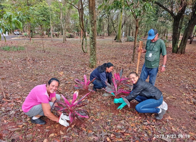 Manhã de jardinagem no Bosque Municipal