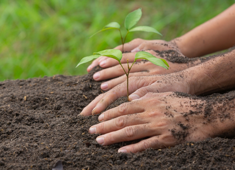 Neste domingo tem plantio de 300 mudas de árvores na Ciclovia e Trilha de Caminhada do Tirisco. Participe!