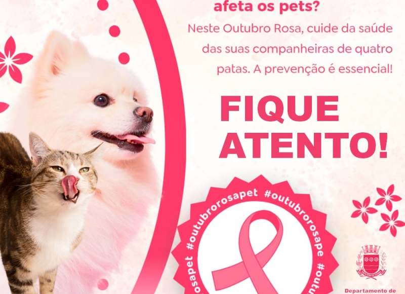 Outubro Rosa Pet: A importância da prevenção do câncer de mama em cadelas e gatas