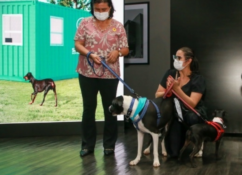 Santa Rosa terá clínica veterinária gratuita do Programa Meu Pet