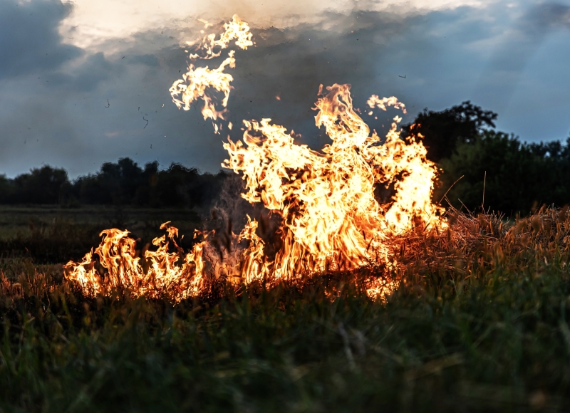 Queimadas Urbanas e Rurais são proibidas