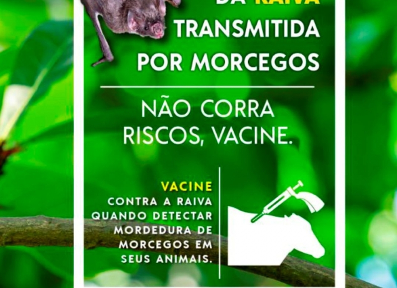 PRODUTOR RURAL: Proteja seu rebanho vacinando-o contra a raiva dos herbívoros