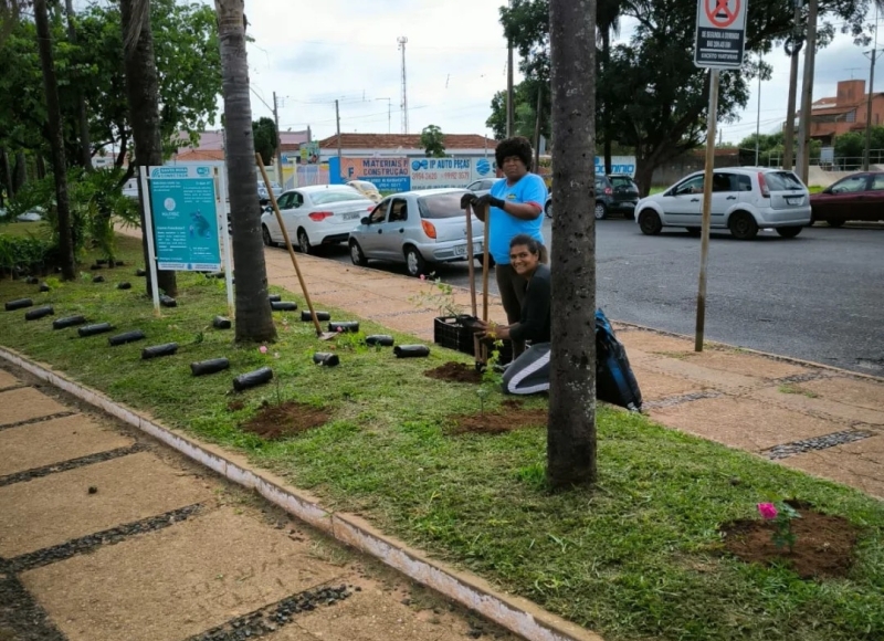 Plantio de roseiras na Praça Estrela Azul