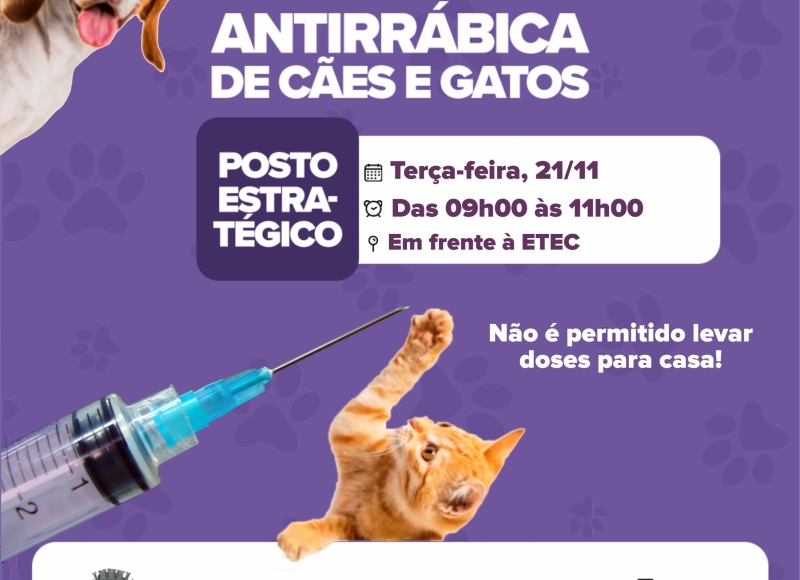 Terça-feira tem vacinação Antirrábica em cães e gatos