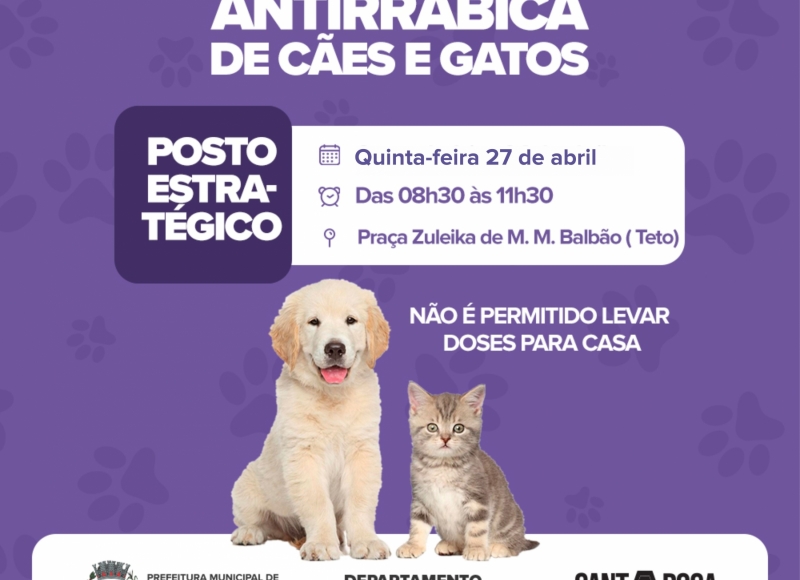 Vacina Antirrábica em cães e gatos